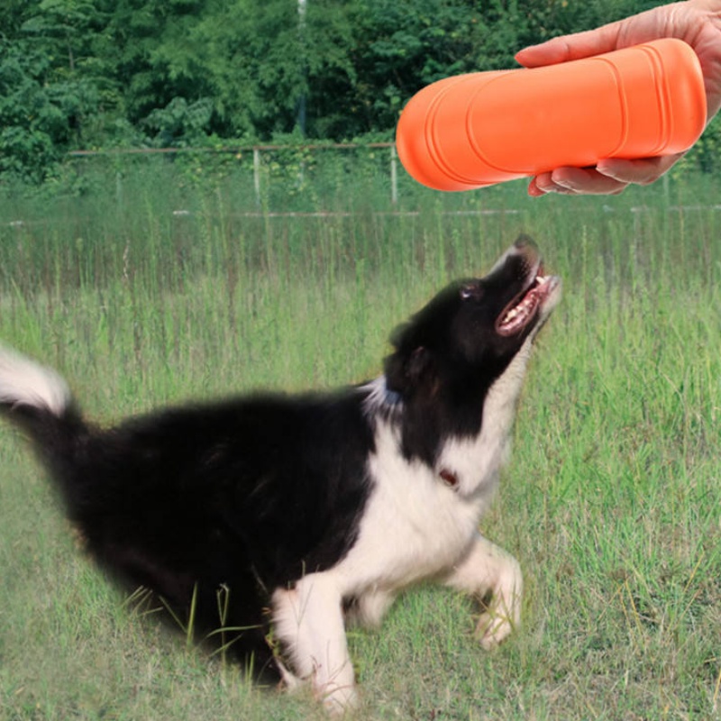 Miękki, żuwany dysk do zabawy  – Flying Disc Dog Training Toy recenzja i cena