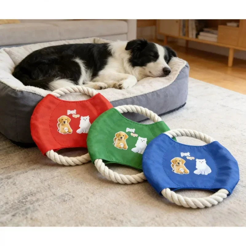 Popularna w internecie zabawka – Flying Disc Dog Training Toy recenzja i cena