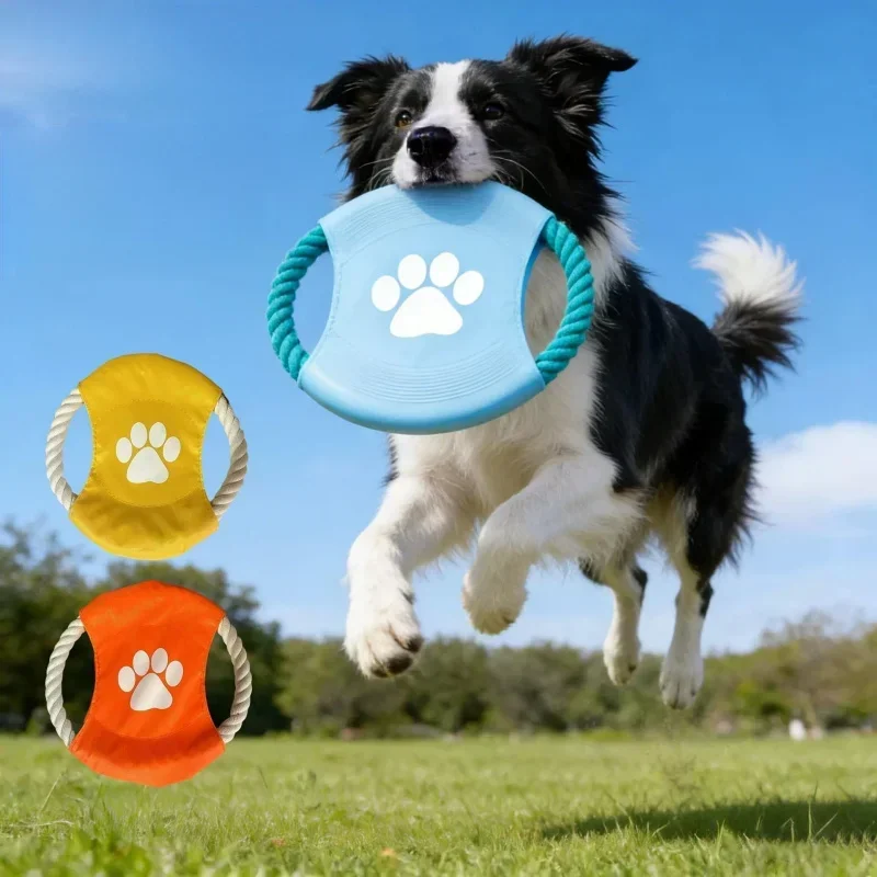 Popularna w internecie zabawka – Flying Disc Dog Training Toy recenzja i cena
