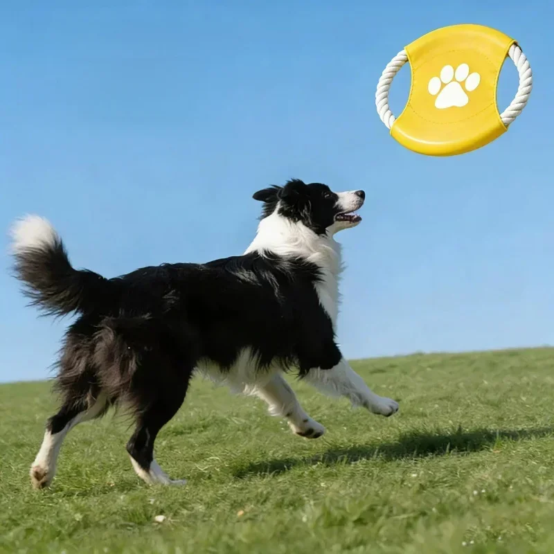 Popularna w internecie zabawka – Flying Disc Dog Training Toy recenzja i cena