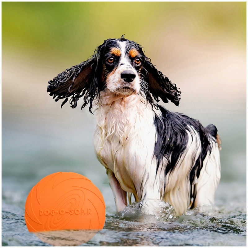 Interaktywna silikonowa zabawk – Flying Disc Dog Training Toy recenzja i cena