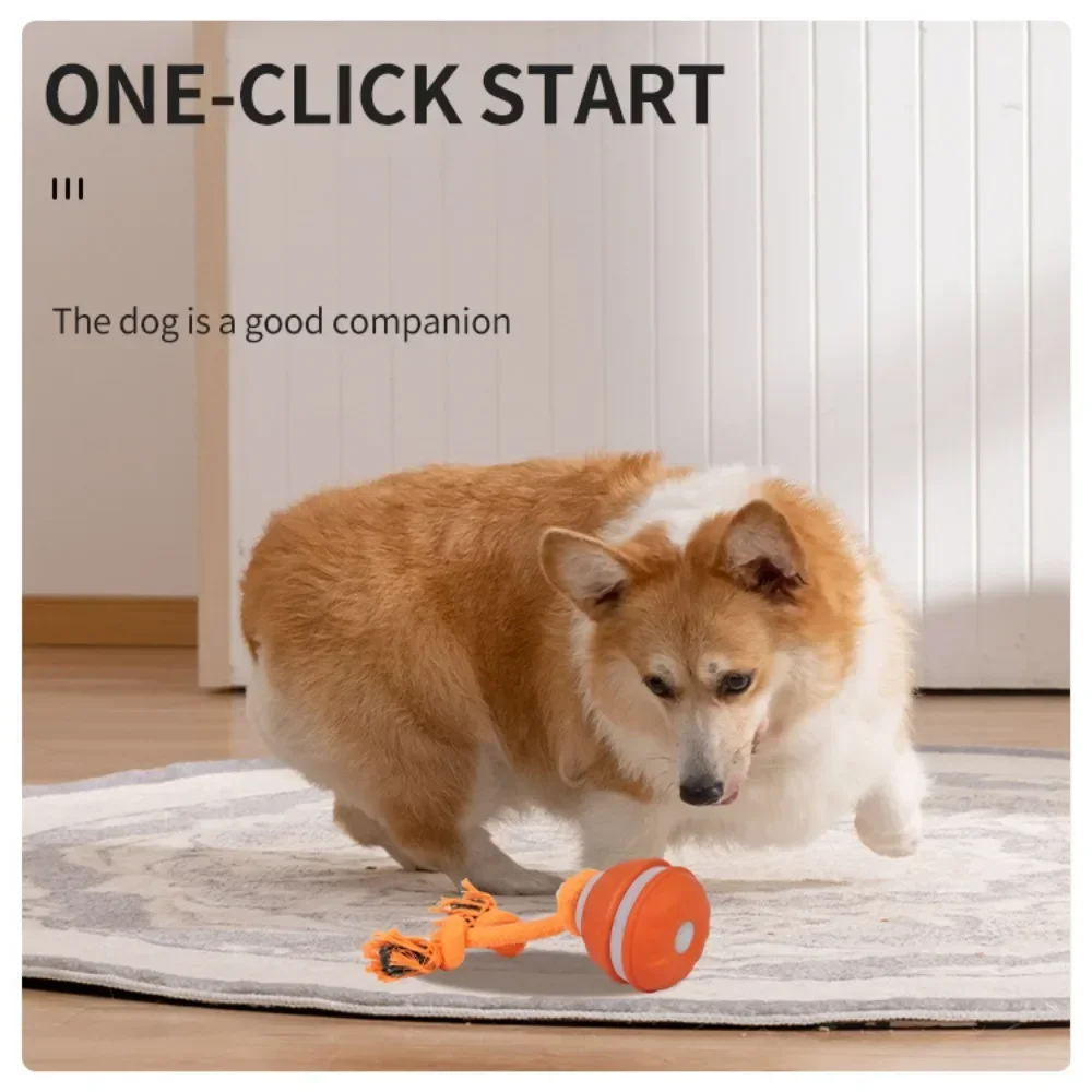 Piłka dla psów, interaktywna z – Automatic Moving Dog Ball recenzja i cena