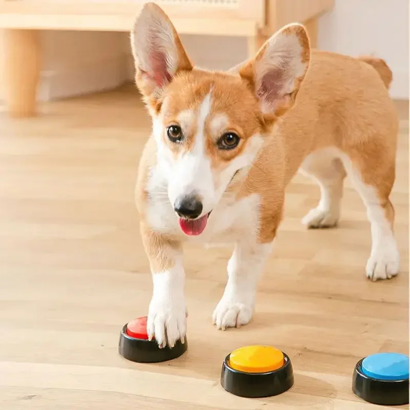 Pet Sound Box Nagrywalny przyc – Interactive Squeaky Plush Dog Toy recenzja i cena