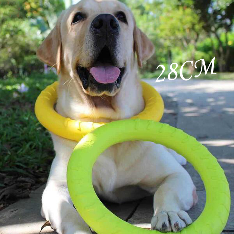 Zabawki dla psów, latające dys – Flying Disc Dog Training Toy recenzja i cena