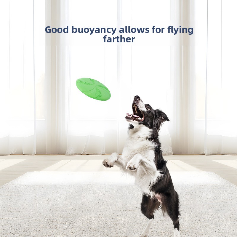 Interaktywna frisbee do trenin – Flying Disc Dog Training Toy recenzja i cena