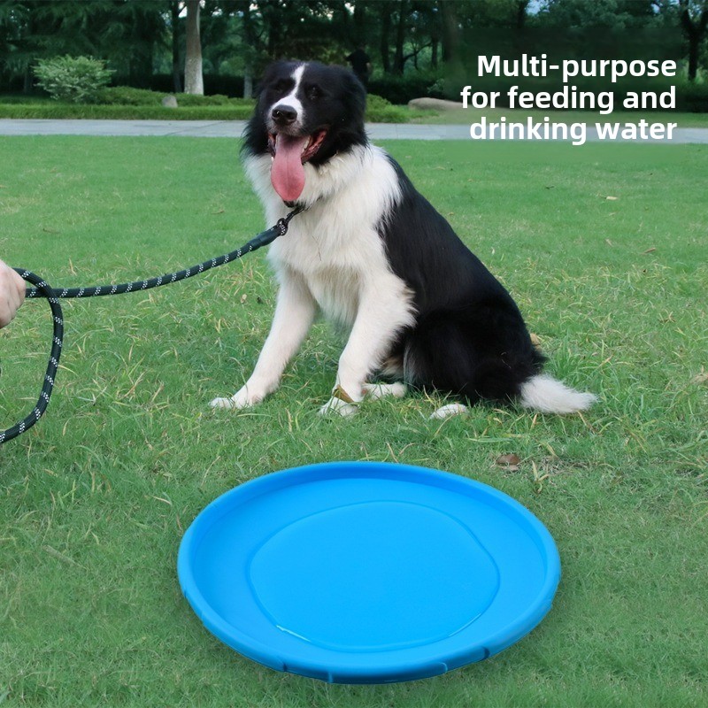 Wielokolorowa zabawka dla psa  – Flying Disc Dog Training Toy recenzja i cena