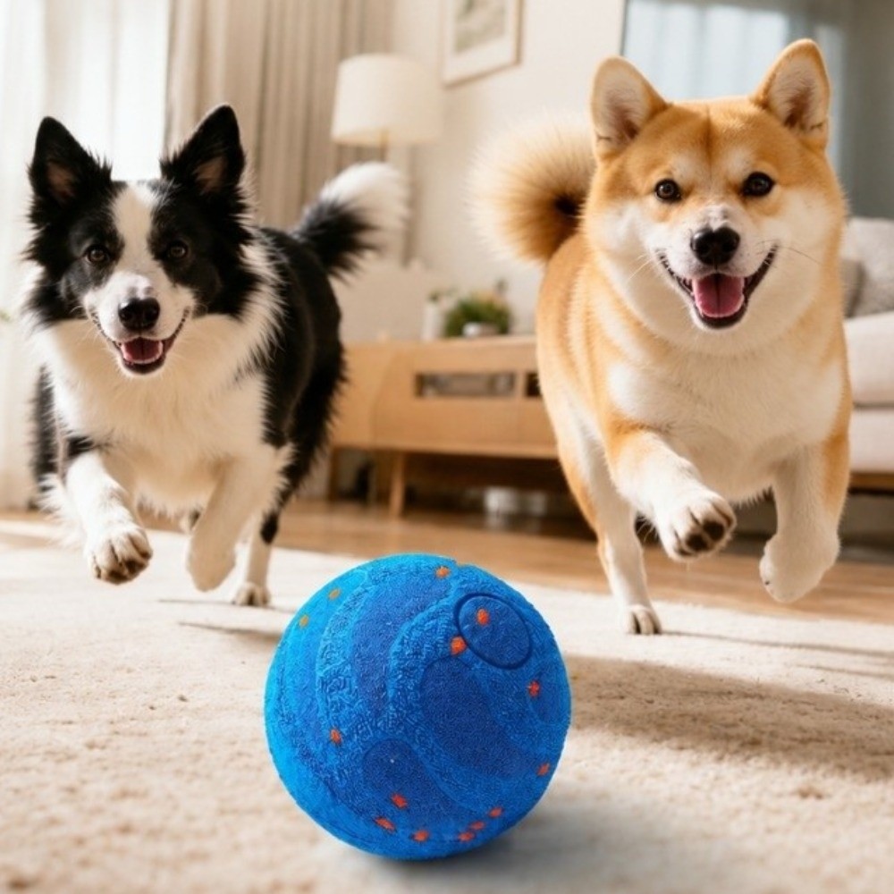 Automatyczna, wodoodporna piłk – Automatic Moving Dog Ball recenzja i cena