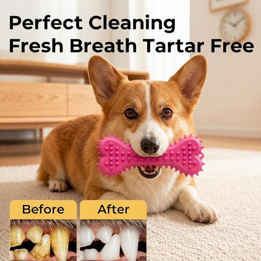 3/6 szt. gumowych zabawek do ż – Teeth Cleaning Dog Chew Bone recenzja i cena